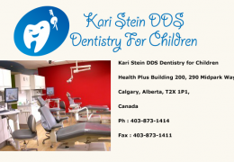 Dr. Kari Stein and Dr. Tim Seto Pediatric Dentists