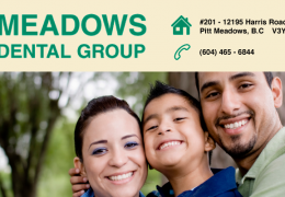 Meadows Dental Group